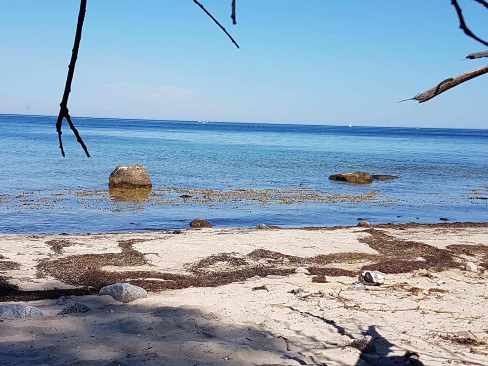 Ferienwohnung Uta Grundshagen Dış mekan fotoğraf